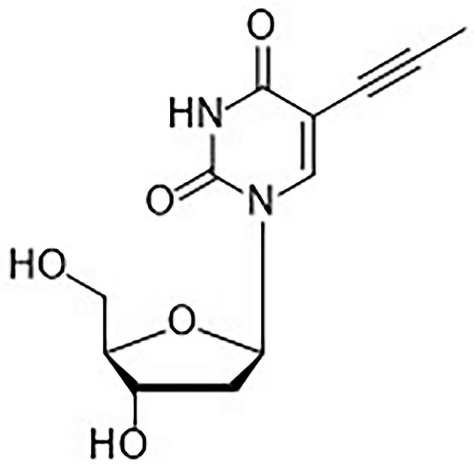 5-(1-Propynyl)-2'-deoxyuridine, 1 g, Glass Screw-Top